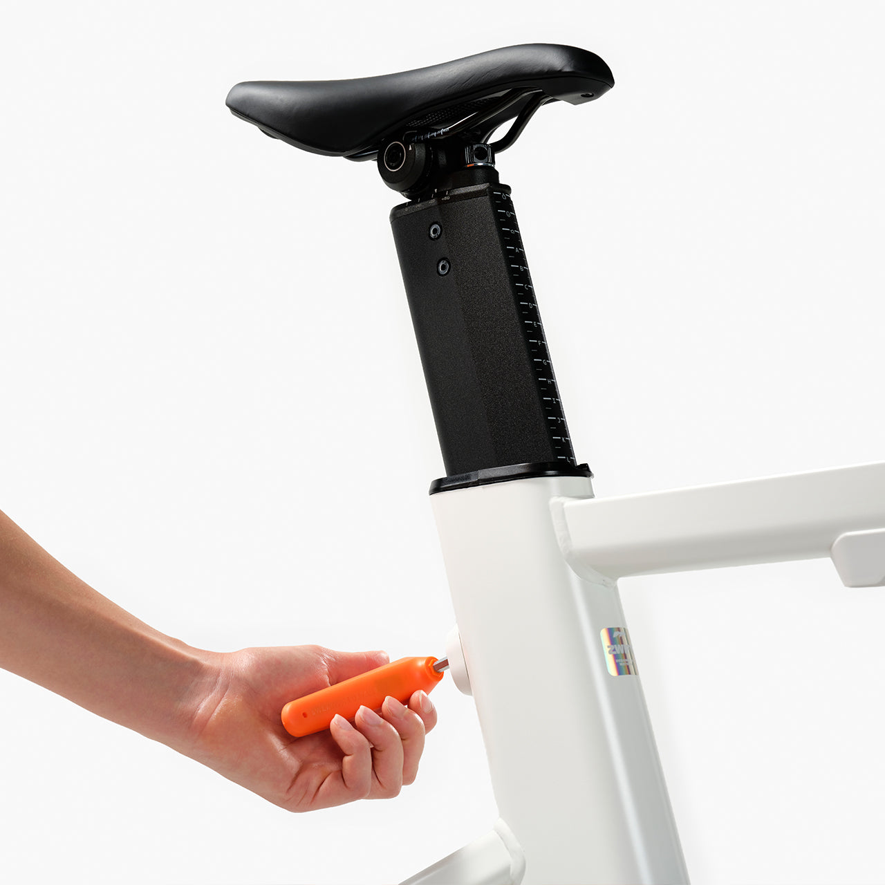 Zwift Ride Smart Frame
